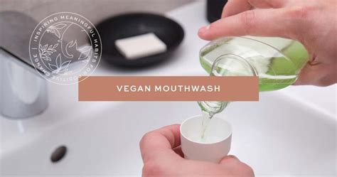 is listerine vegan|10 Best Vegan Mouthwashes for Fresh Breath and Healthy Gums.